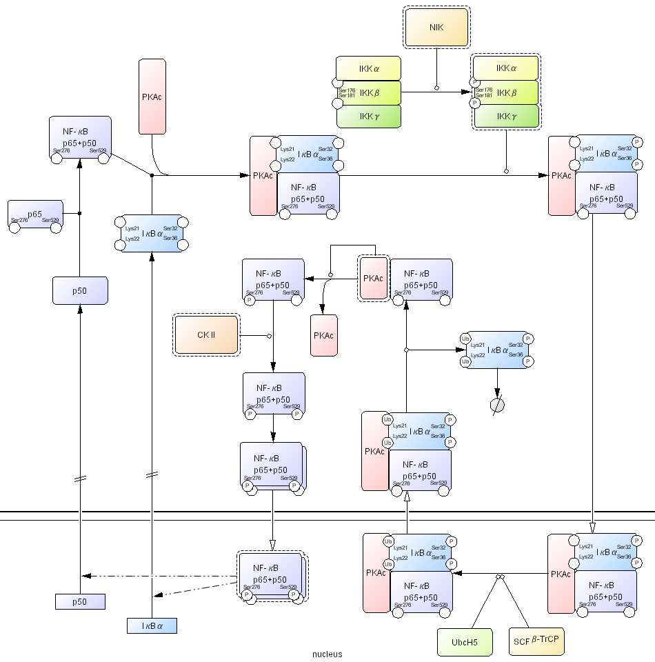 [DIAGRAM] Application Process Diagram - MYDIAGRAM.ONLINE